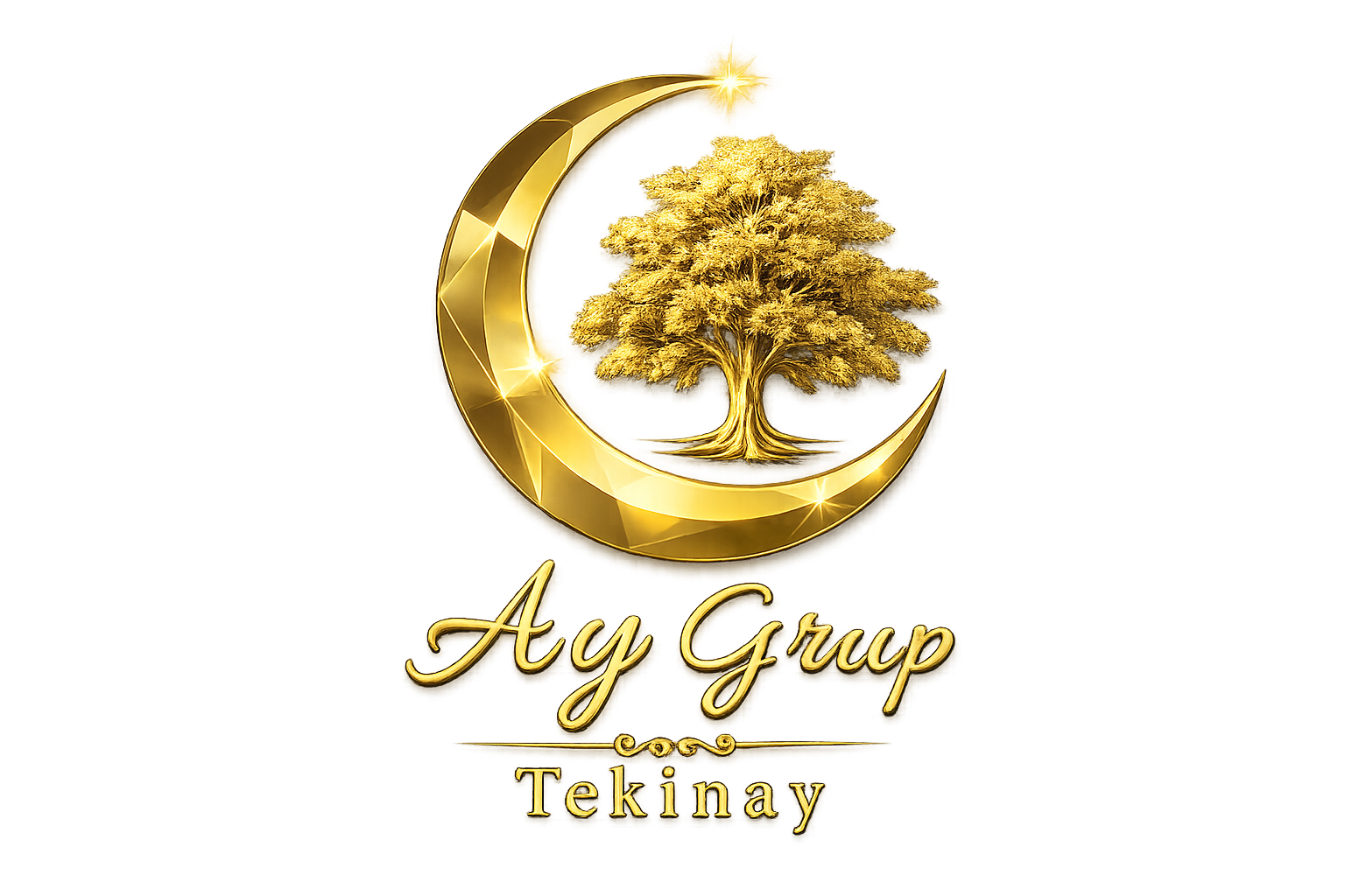AY Grup Logo